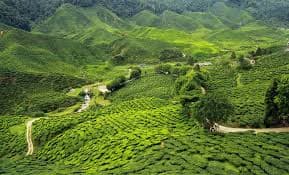 Assam tourism destination