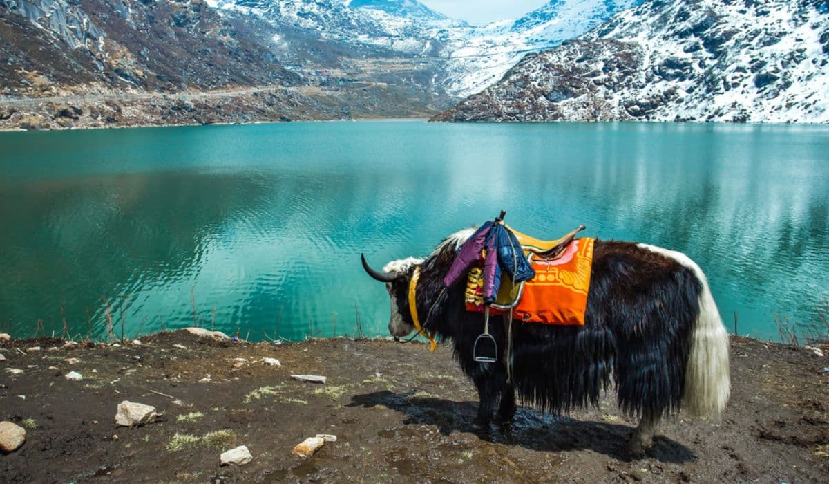 Sikkim tourism destination