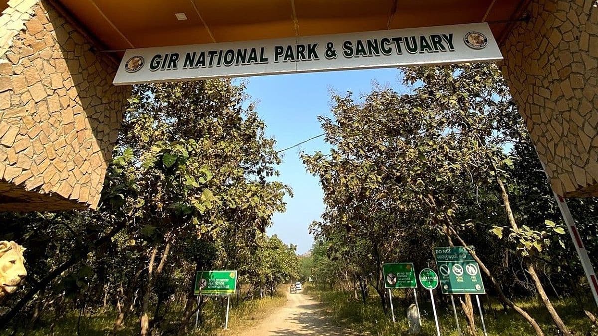 Gir National Park 2