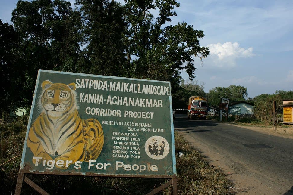 Achanakmar Tiger Reserve 5