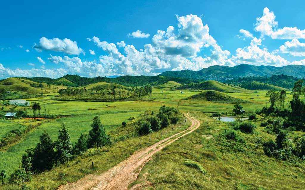 Murlen National Park 3