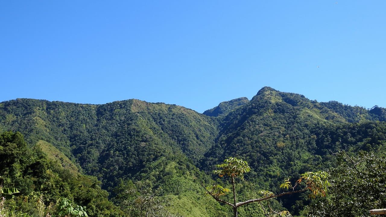 Murlen National Park 5