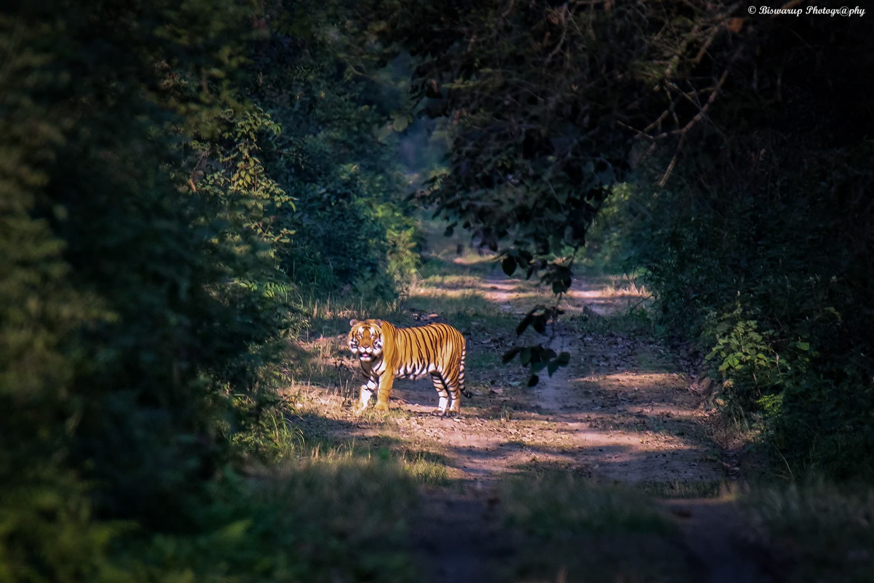 Dudhwa National Park 3