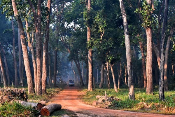 Dudhwa National Park 4