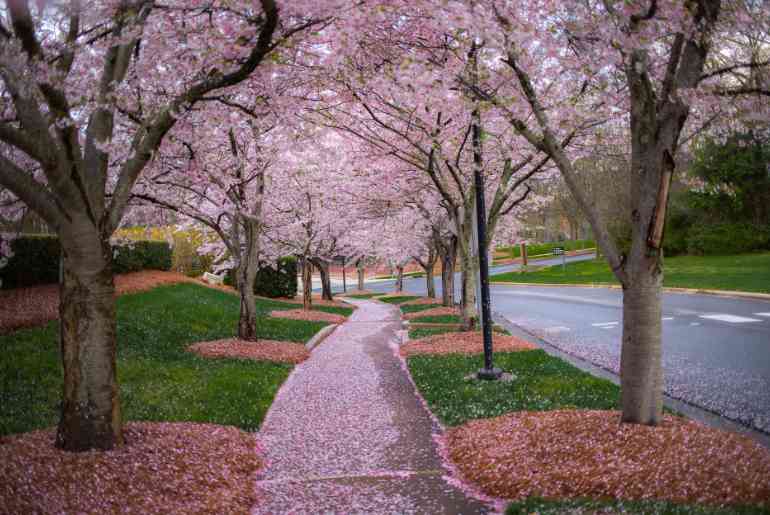 Longkhum village  destination