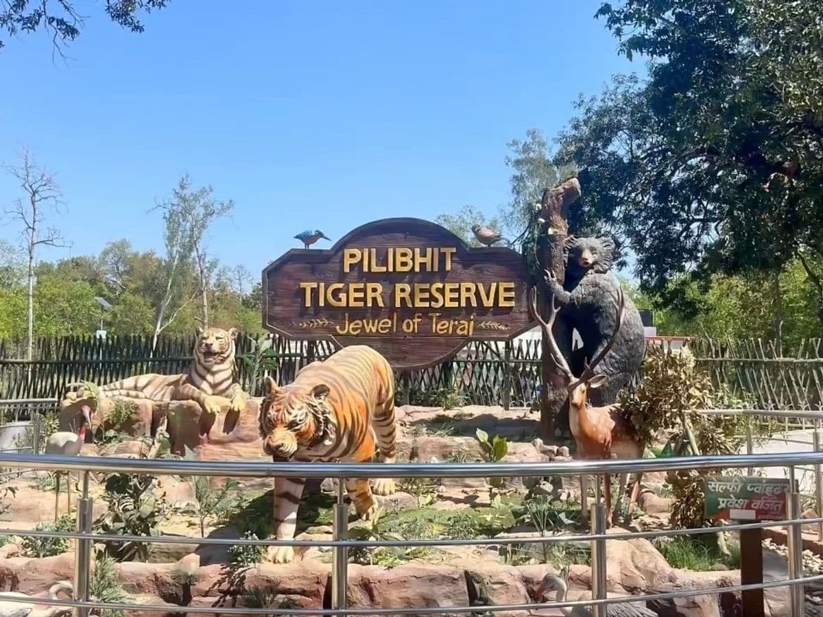 Pilibhit Tiger Reserve destination