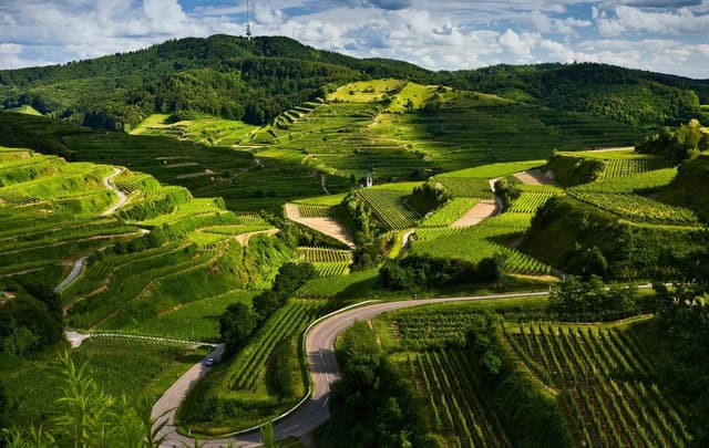 Best Monsoon Destinations in India 2026 — Hidden Gems Your Family Will Love (That You Haven't Visited Yet)