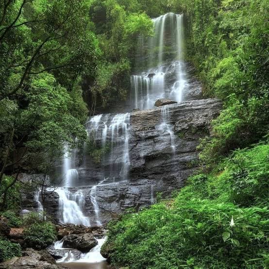 Best Places to Visit in India After Monsoon 2026: 5 Destinations That Feel Made for the Season