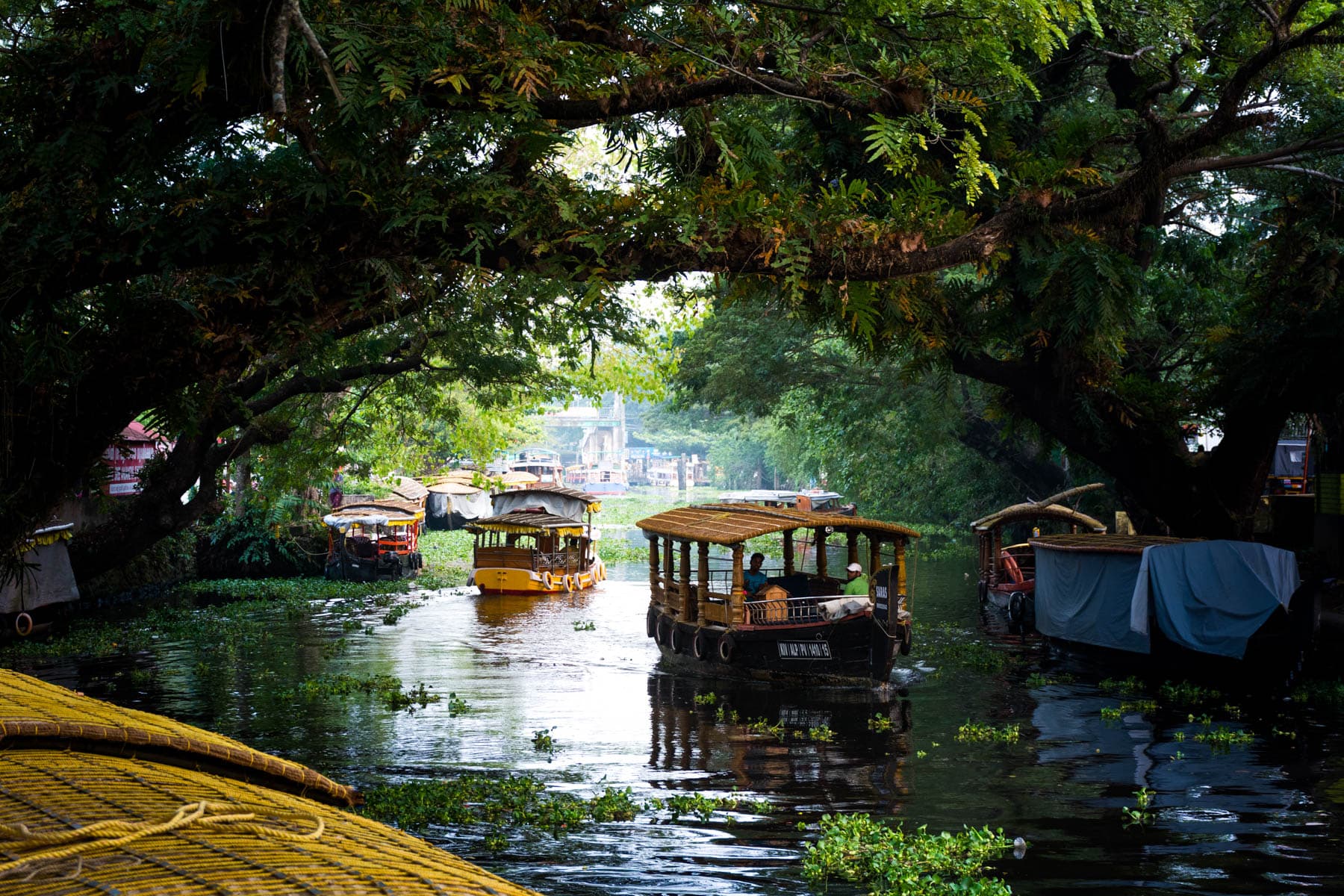 Alleppey (Alappuzha) 3