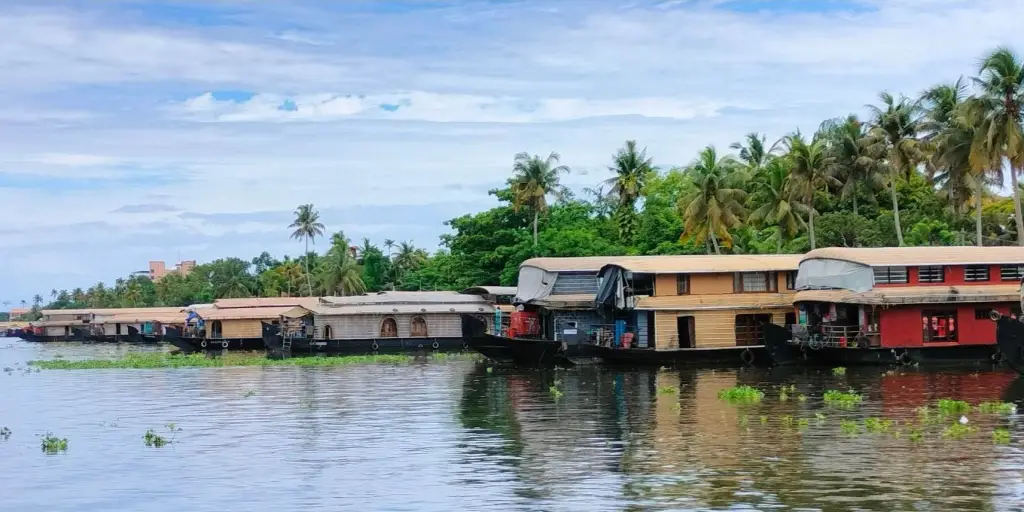 Alleppey (Alappuzha) 5