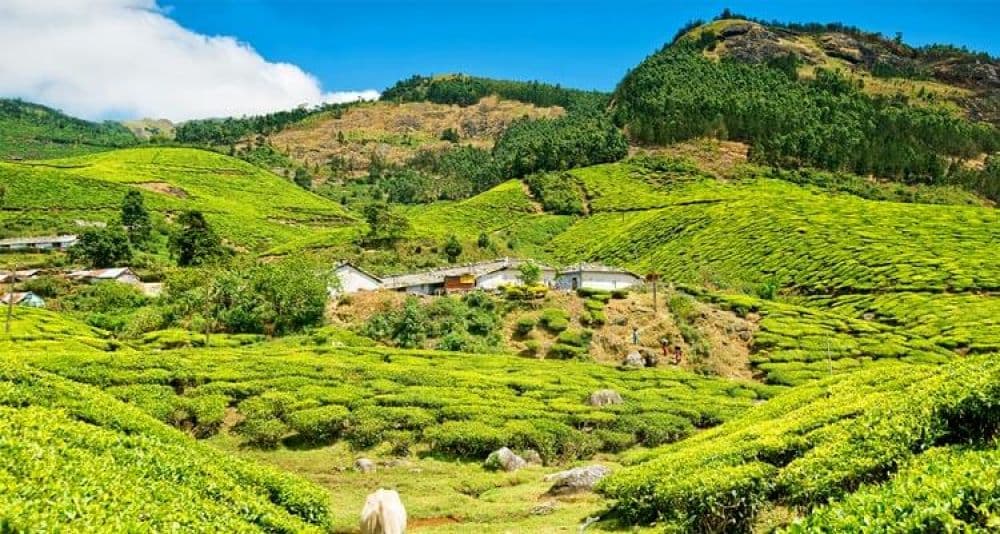 Munnar