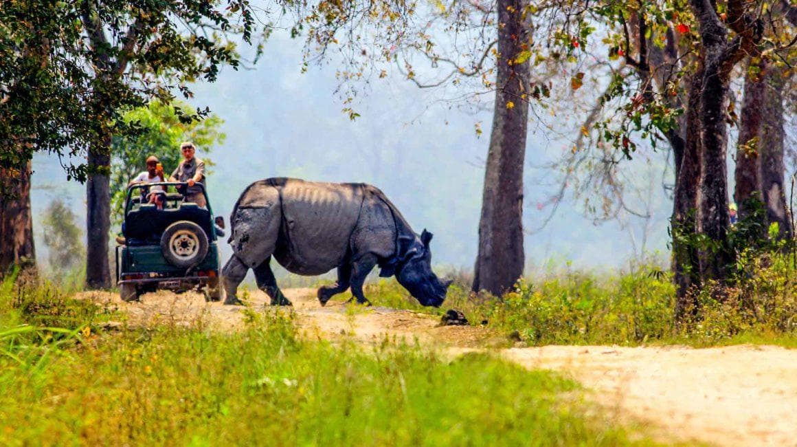 Kaziranga National Park 2