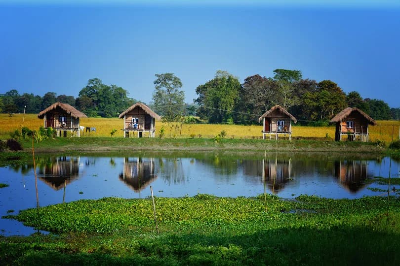 Majuli Island 5