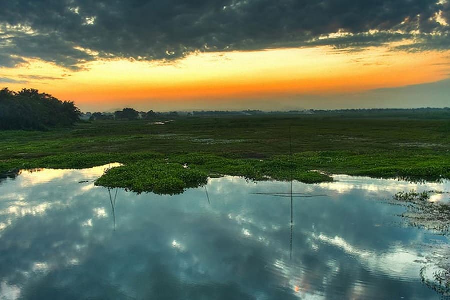 Majuli Island 8