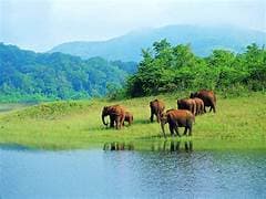 Valmiki National Park 4