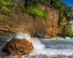 Neil Island (Shaheed Dweep)