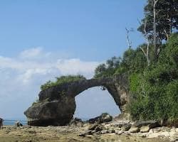 Neil Island (Shaheed Dweep) 2