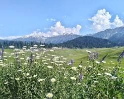 Gulmarg 5