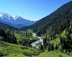 Pahalgam 5