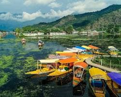 Srinagar 4