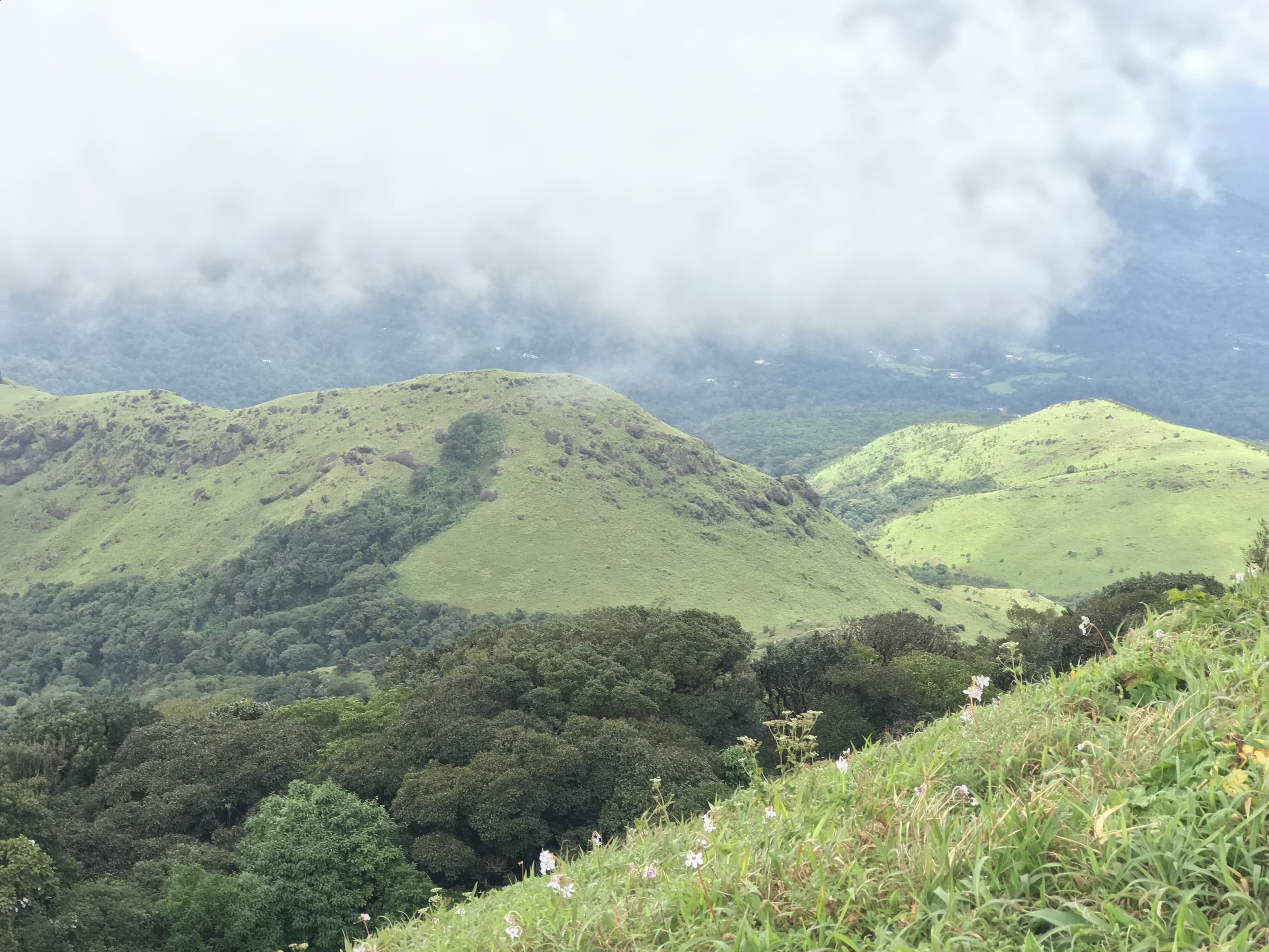 Coorg (Kodagu)