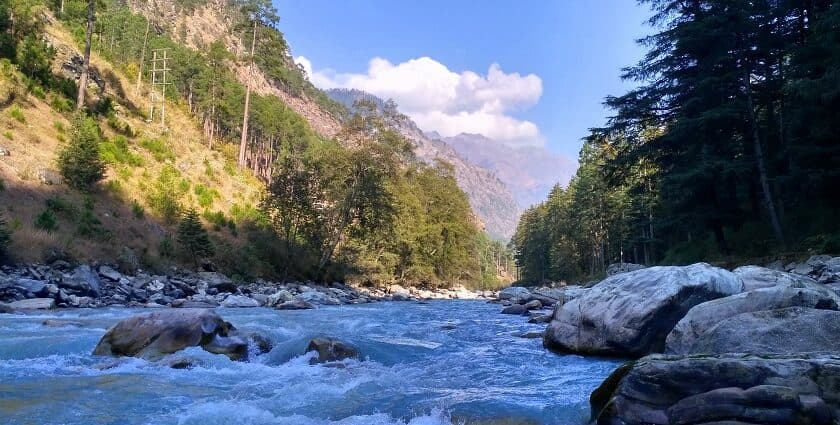 Kasol 6