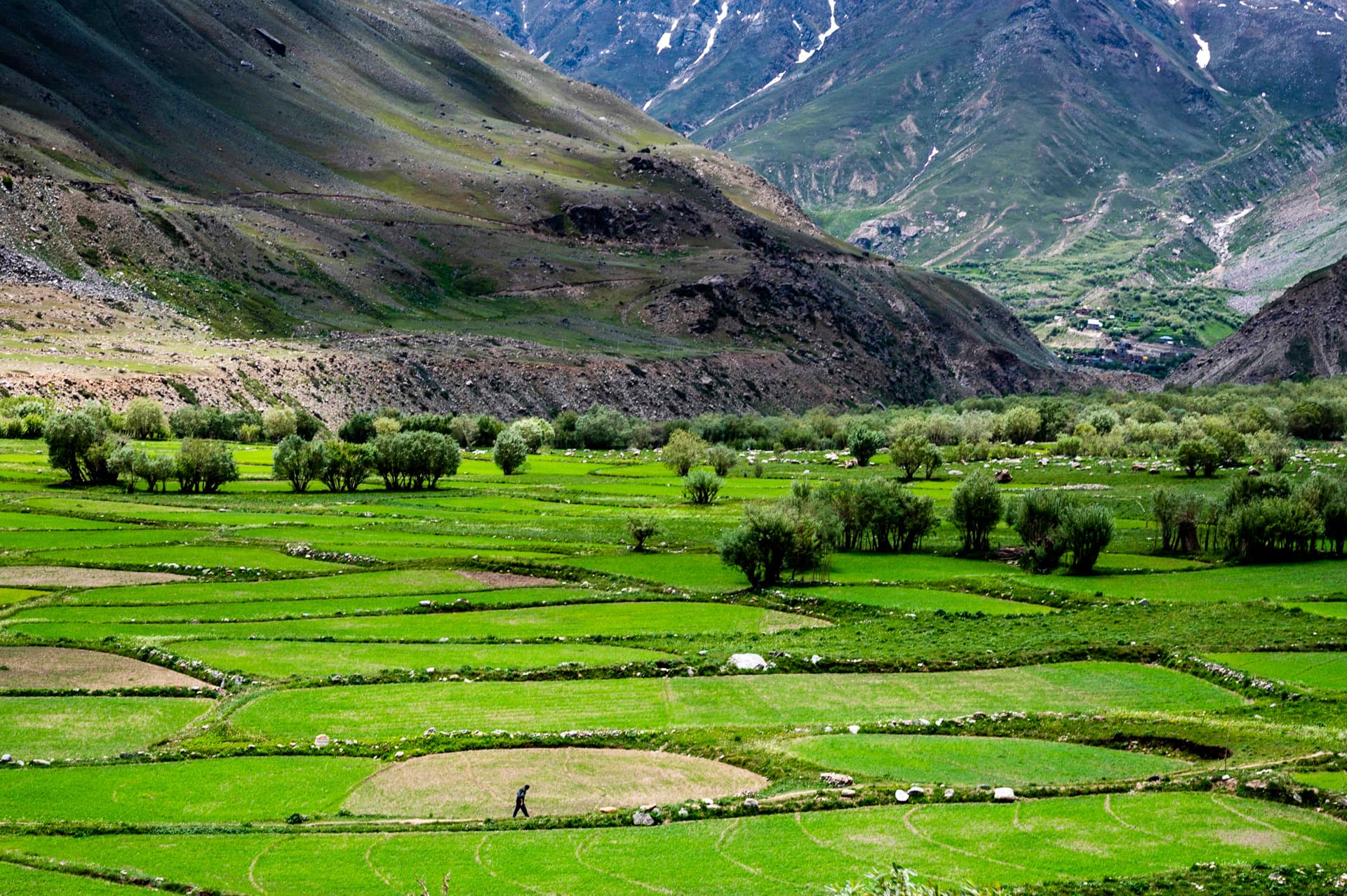 Zanskar Valley 2