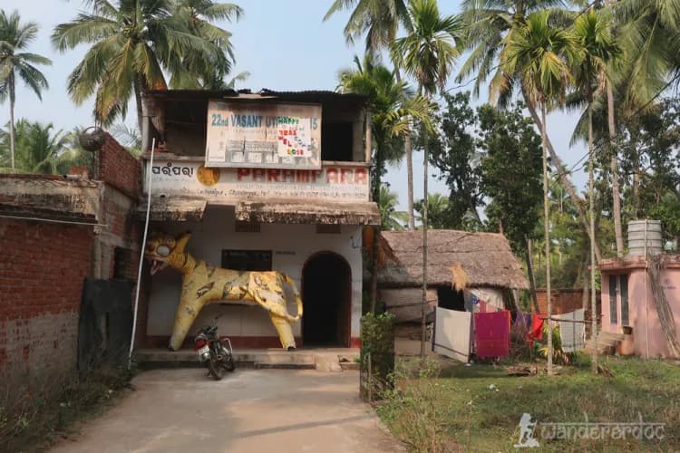 Raghurajpur Heritage Village 4