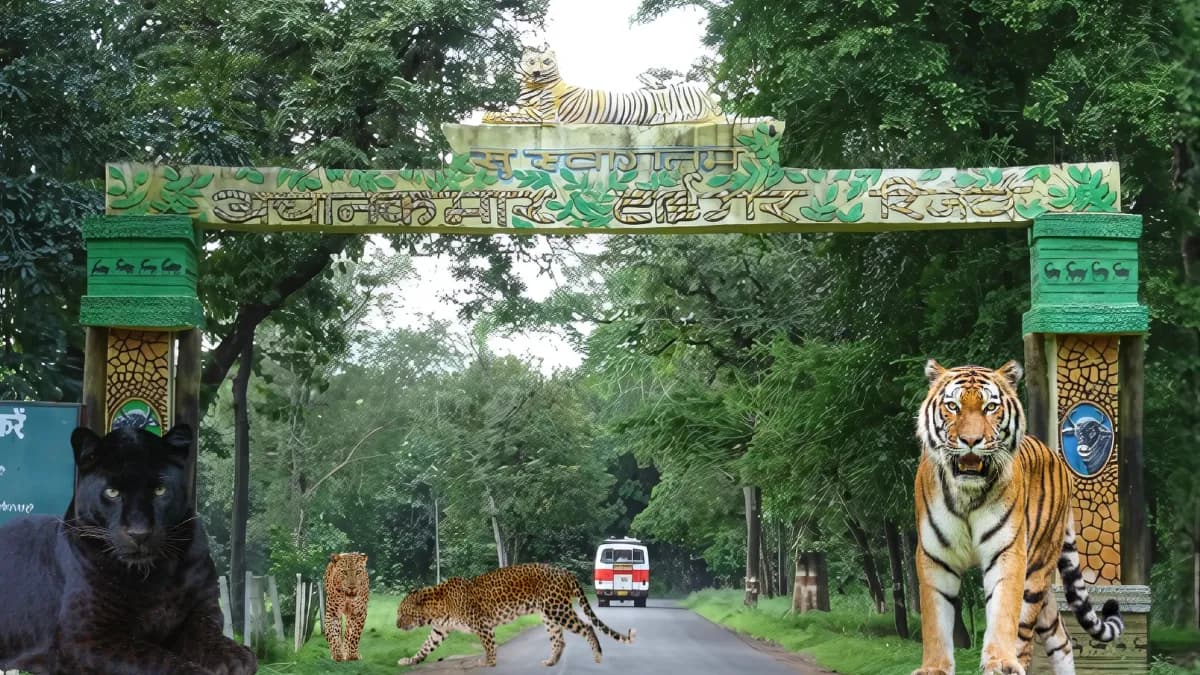 Plan trip to Achanakmar Tiger Reserve
