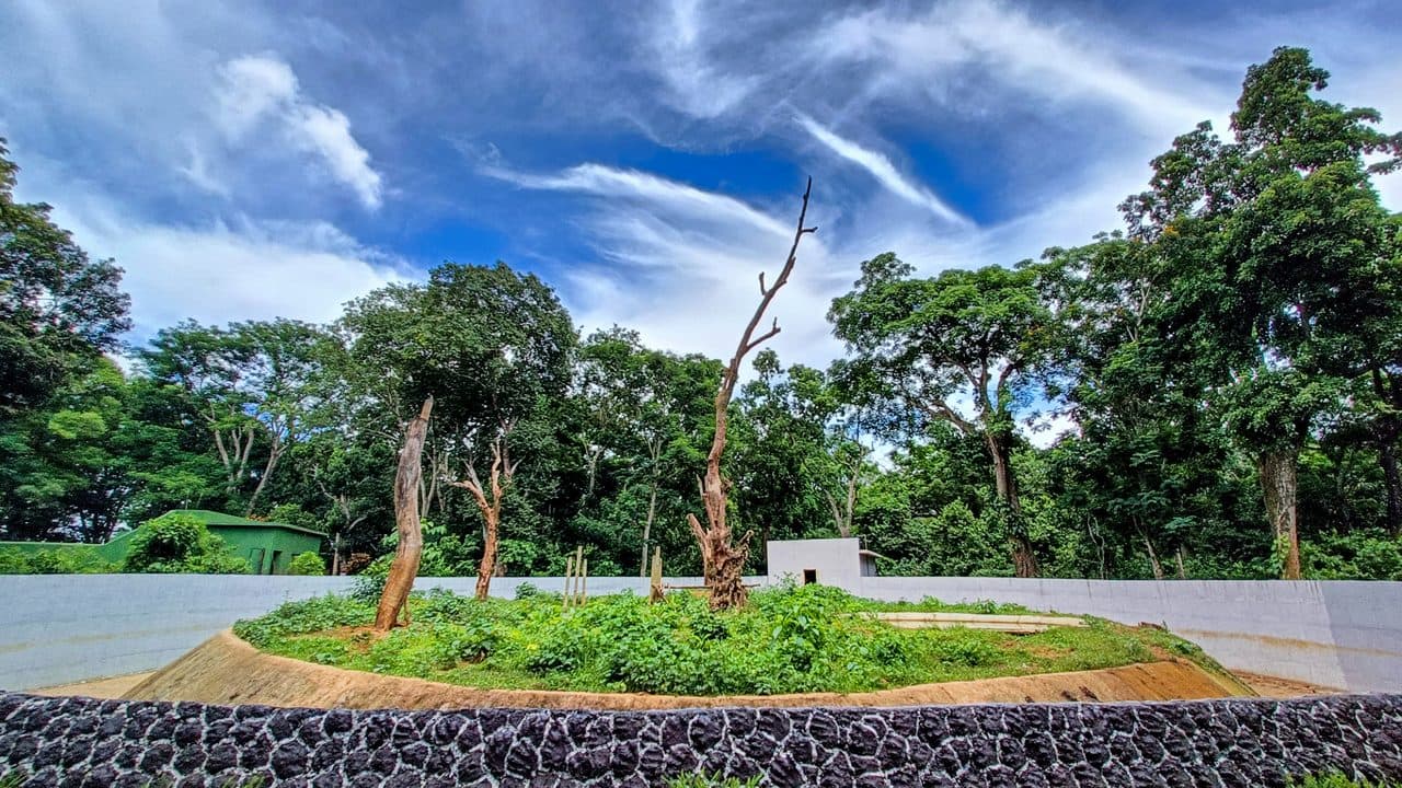 Sepahijala Wildlife Sanctuary 2