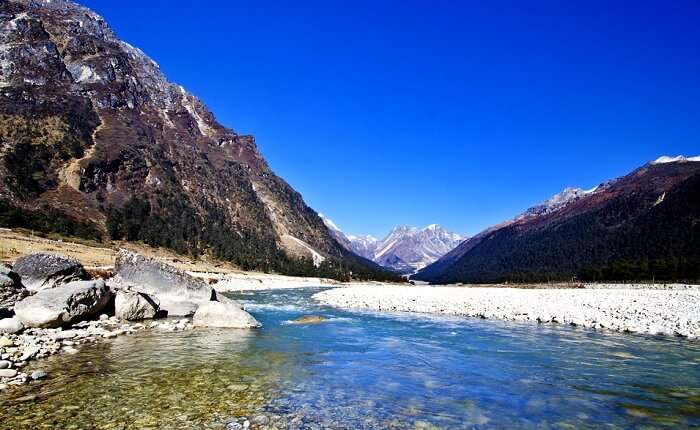 Lachung and Yumthang Valley 3