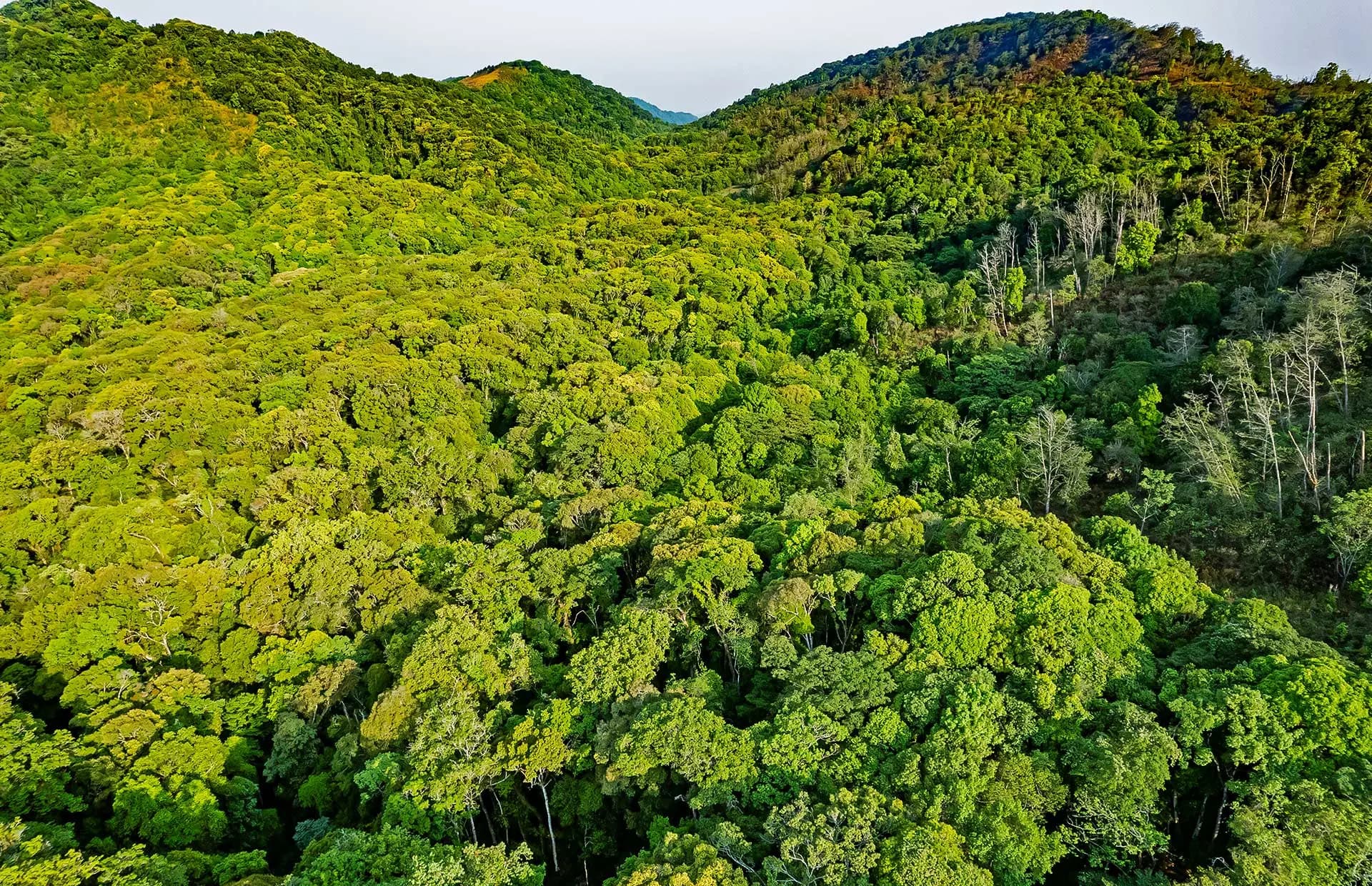 Murlen National Park destination