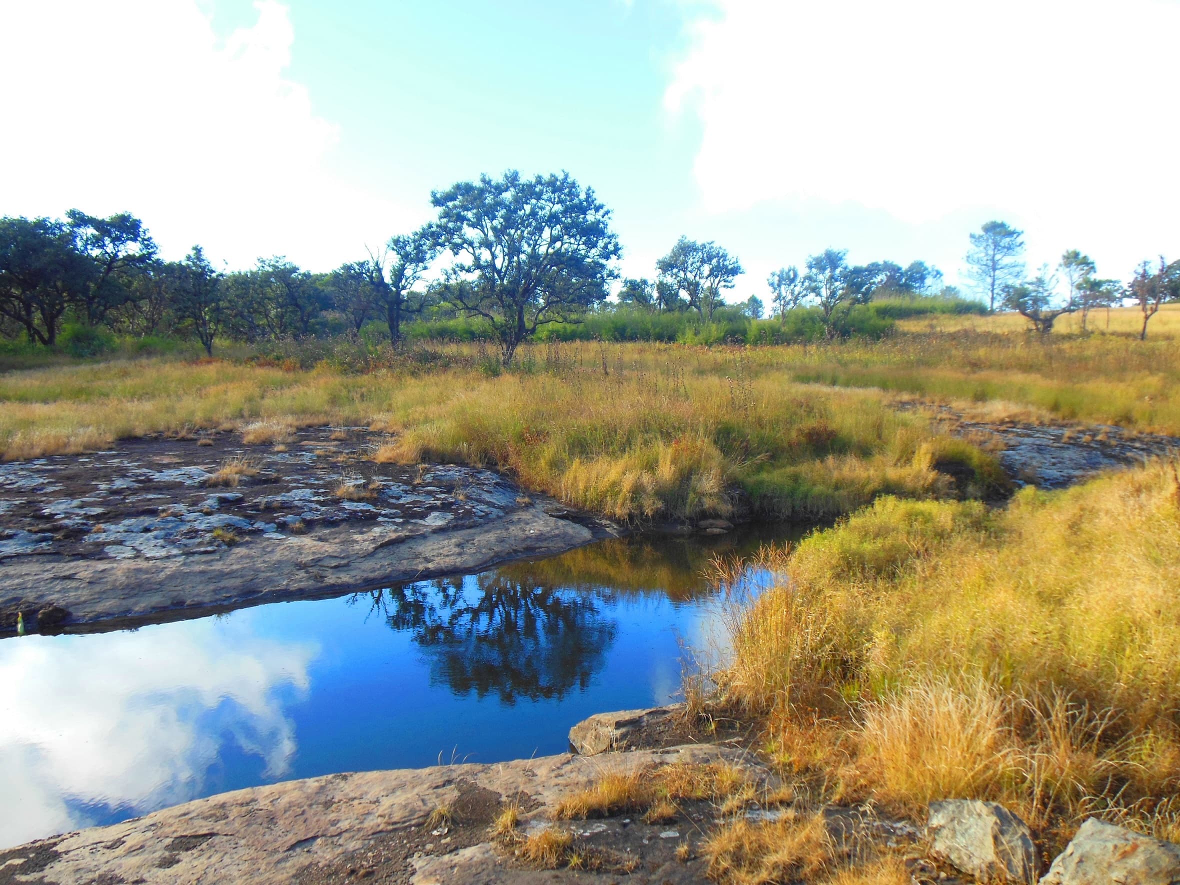 Phawngpui (Blue Mountain) 4