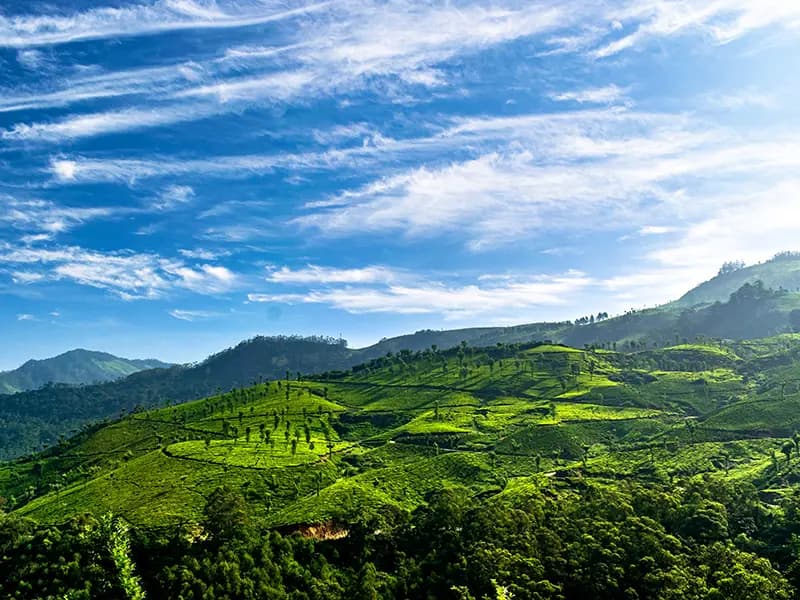 Kodaikanal 6