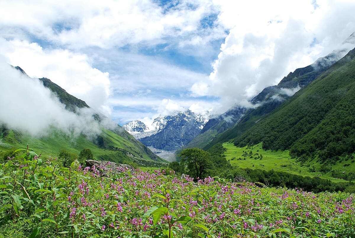 Valley of Flowers National Park