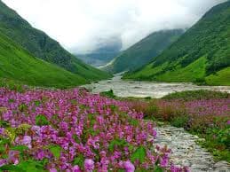 Valley of Flowers National Park 4