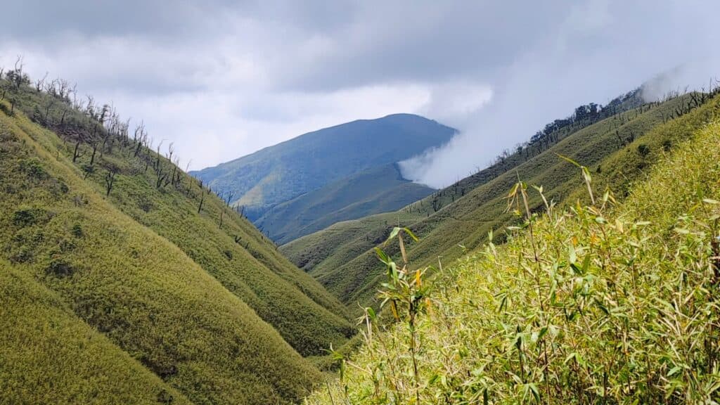 Dzukou Valley 5