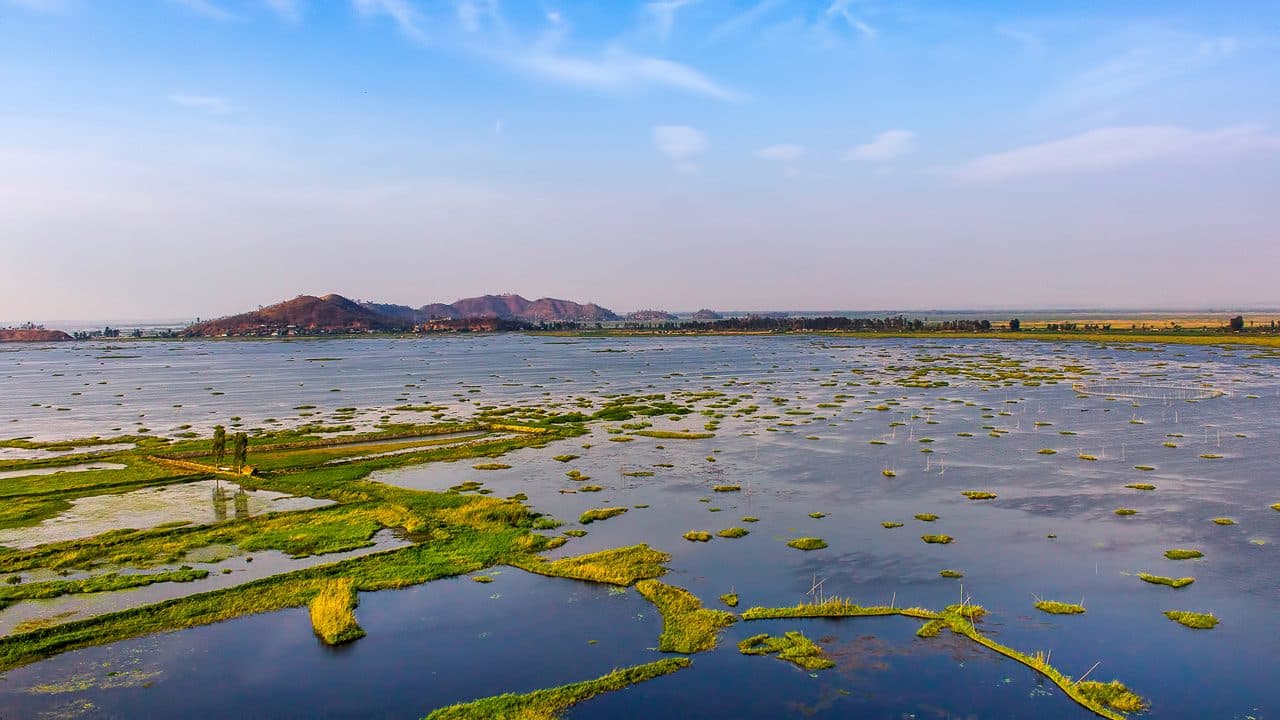 Keibul Lamjao National Park 3