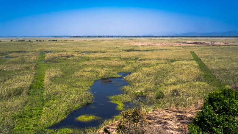 Keibul Lamjao National Park 5