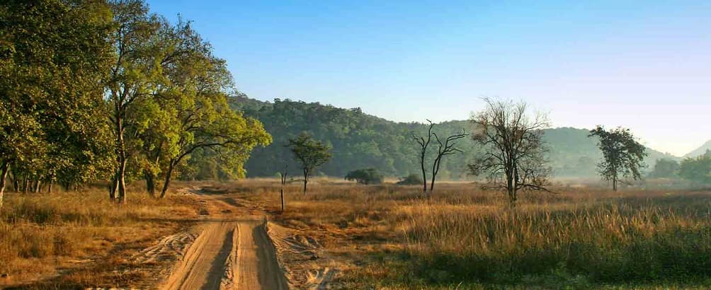 Bandhavgarh National Park